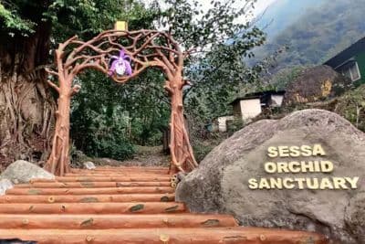 Sessa Orchid Sanctuary