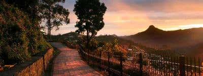 Coaker's Walk