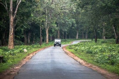 Nagarhole National Park