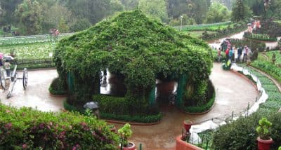 Ooty Botanical Gardens