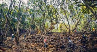 Guna Caves (Devil's Kitchen)