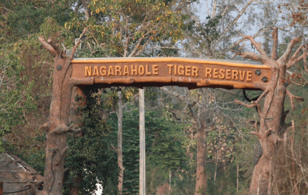 Nagarhole National Park