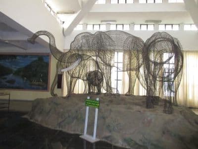 Regional Museum of Natural History