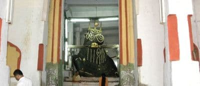 Bull Temple (Dodda Basavana Gudi)