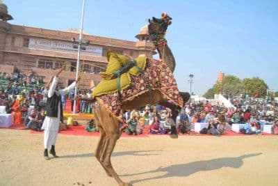 Bikaner Camel Festival