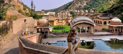 Galtaji Temple (Monkey Temple)