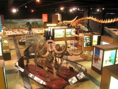Regional Museum of Natural History