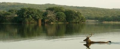 Surwal Lake