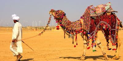 Bikaner Camel Festival