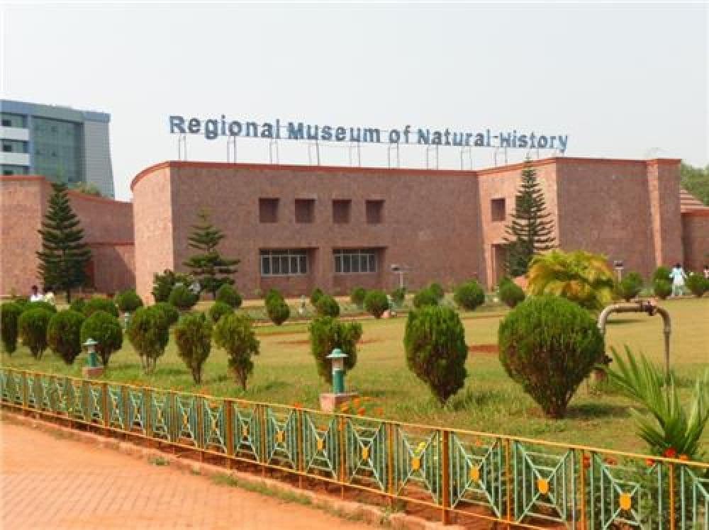 Regional Museum of Natural History