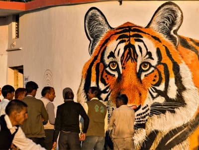 Ranthambore School of Art