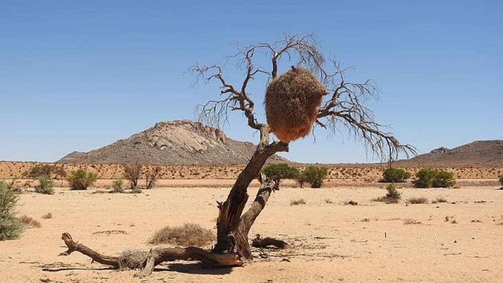 Desert National Park