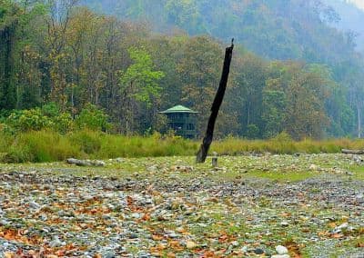 Mahananda Wildlife Sanctuary