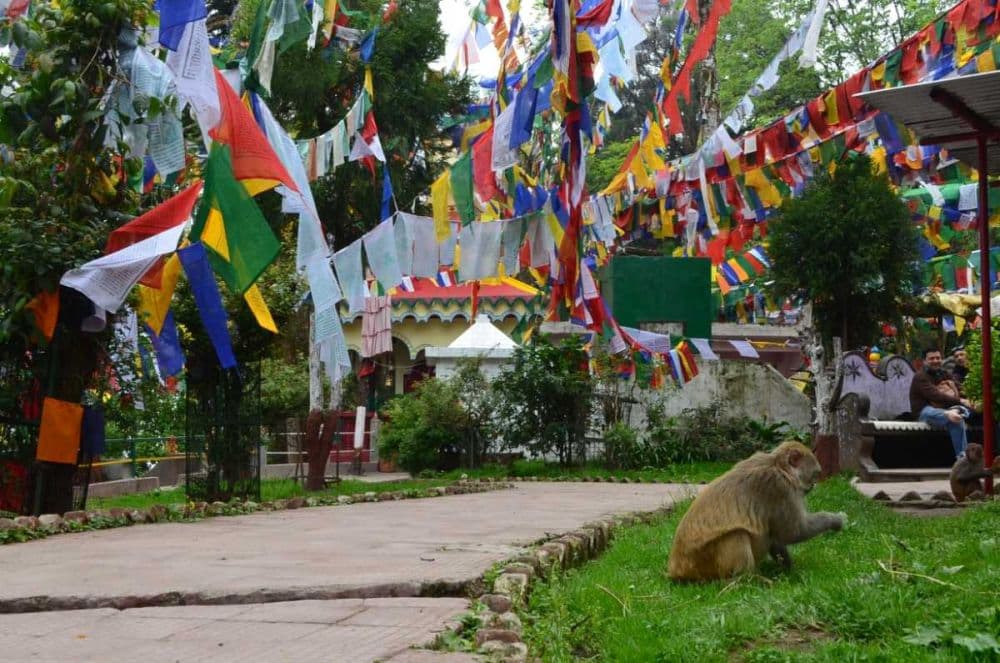 Observatory Hill and Mahakal Temple