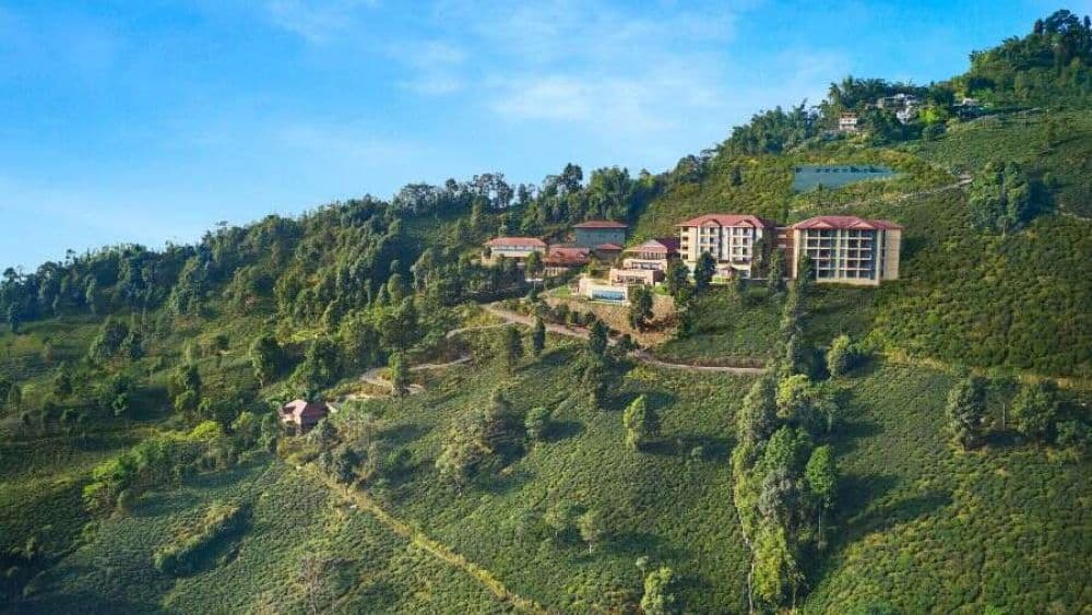 Makaibari Tea Estate