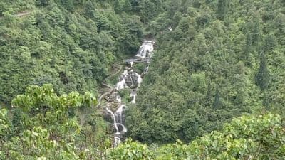 Darjeeling Rock Garden