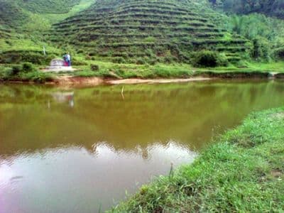 Bhangzang Salamander Lake