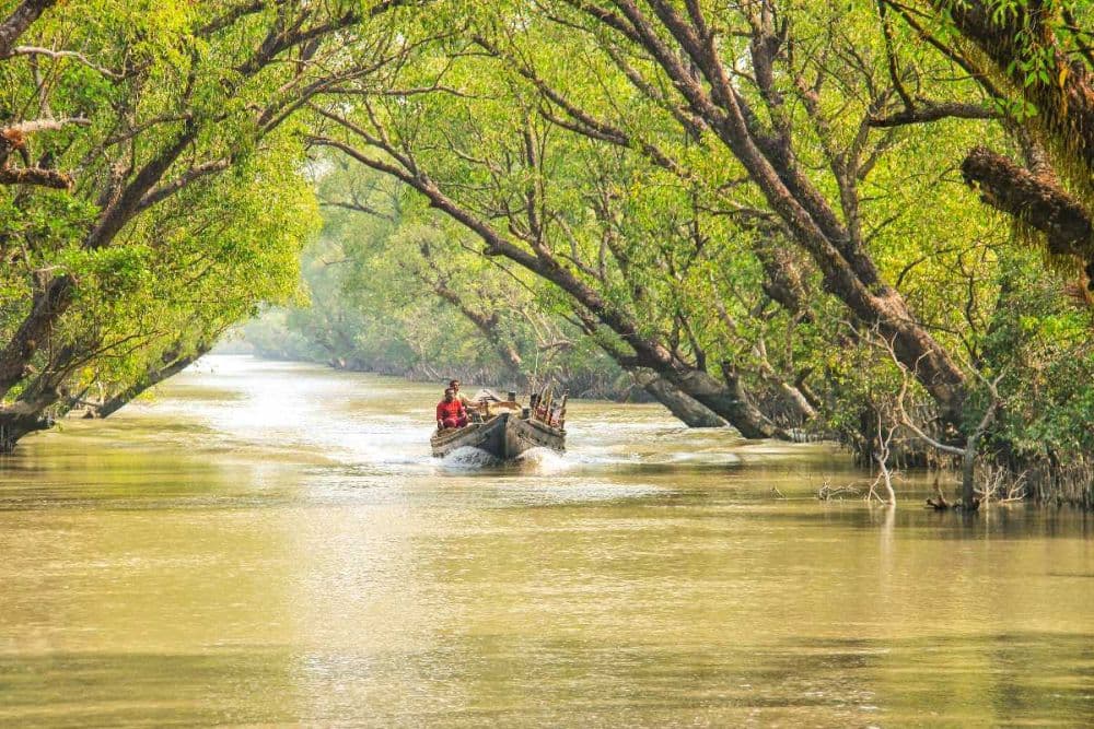 Sundarbans National Park