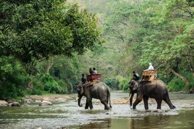 Jaldapara National Park