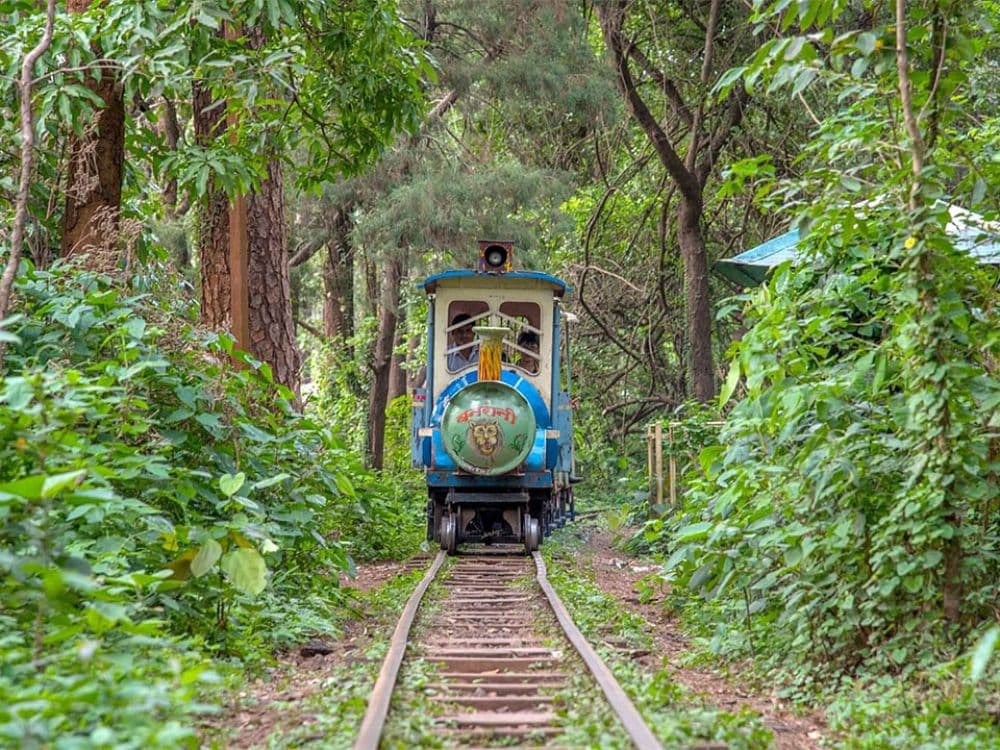Melghat Tiger Reserve