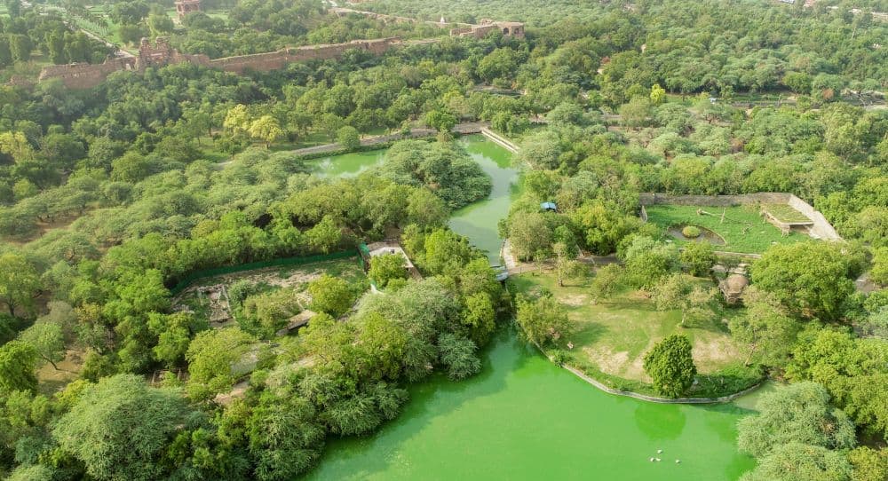 National Zoological Park Delhi