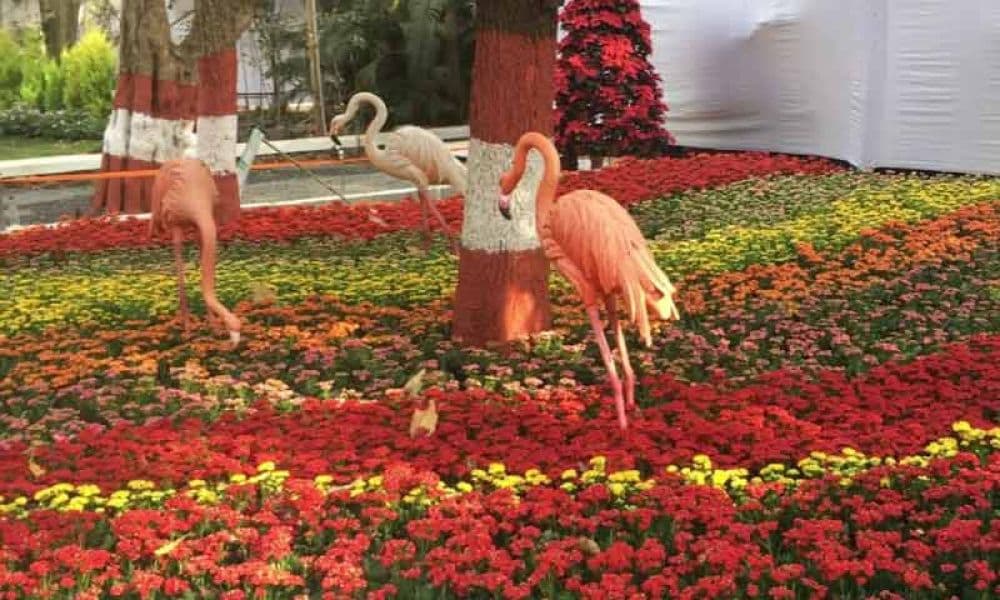 Empress Garden