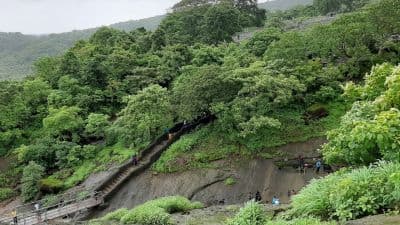 Sanjay Gandhi National Park Mumbai