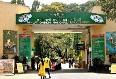 Sanjay Gandhi National Park Mumbai