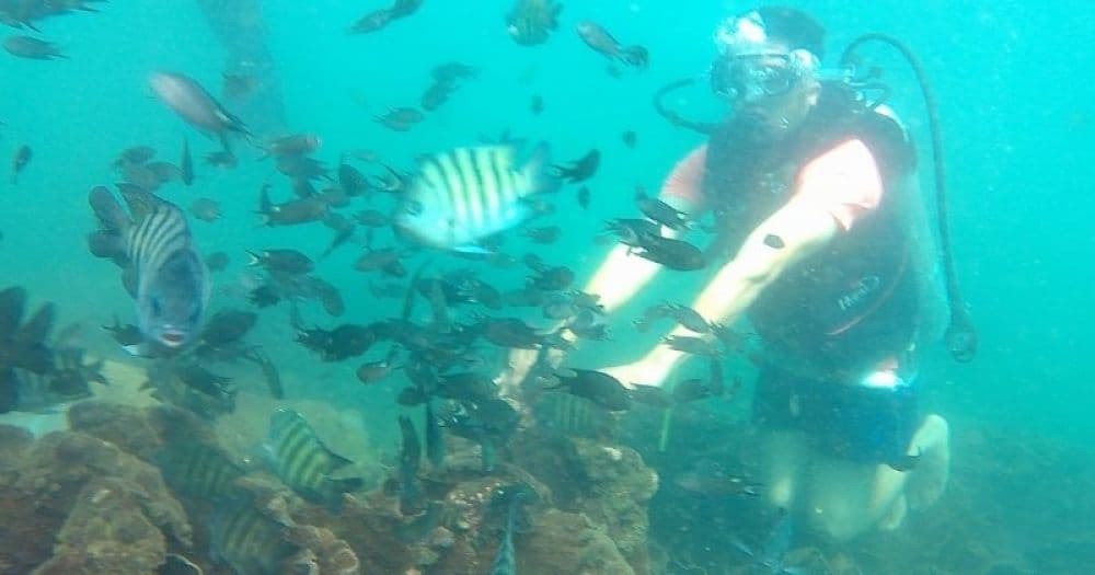 Tarkarli Scuba Diving