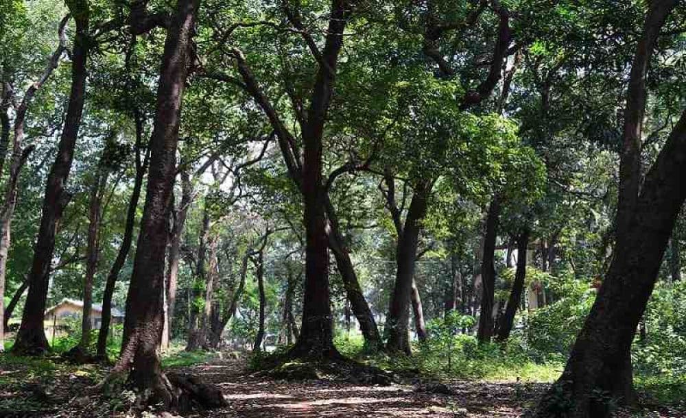 Ryewood Park