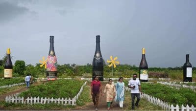 Sula Vineyards