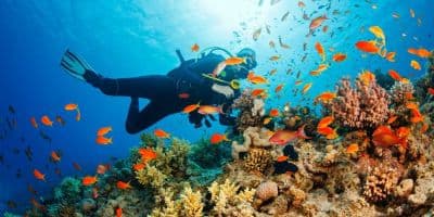 Tarkarli Scuba Diving