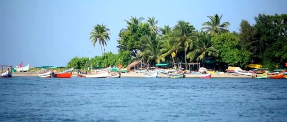 Tarkarli