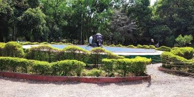 Maharaj Bagh and Zoo