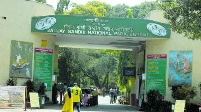 Sanjay Gandhi National Park