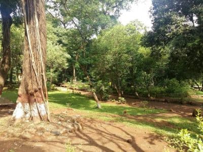 Ryewood Park