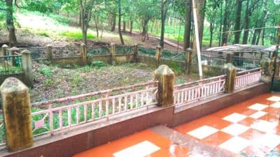 Mai ki Bagiya