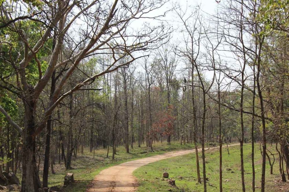 Chhindimatta Road
