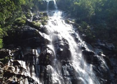 Bee Fall
