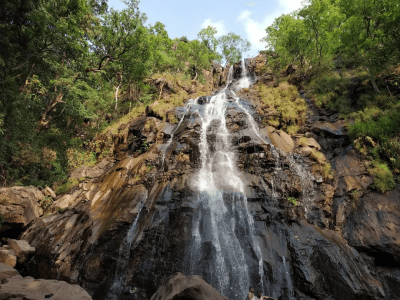 Bee Falls