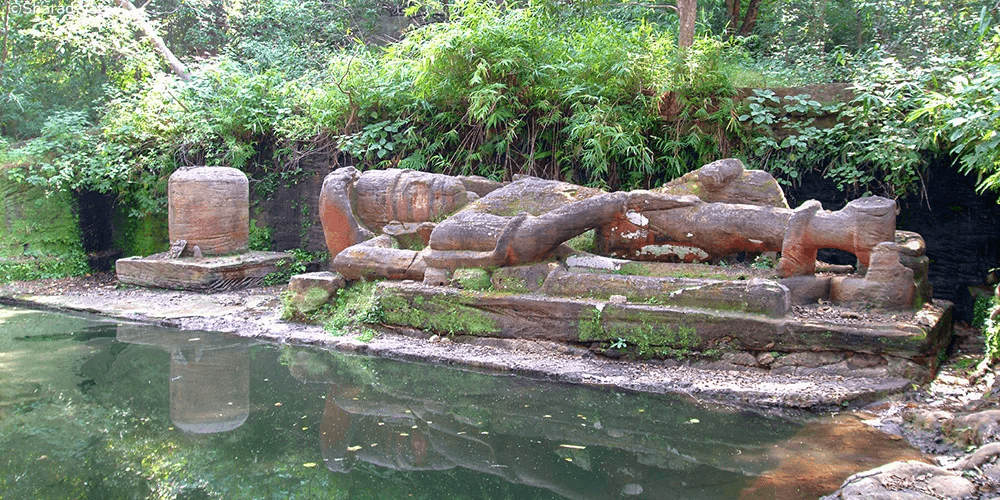 Bandhavgarh National Park