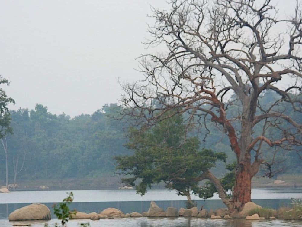 Sitaghat