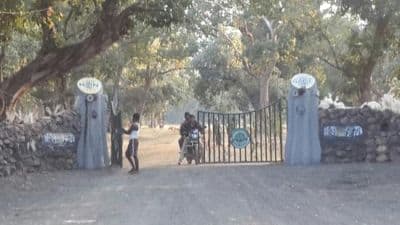 Tala Zone