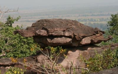 Turtle Rock