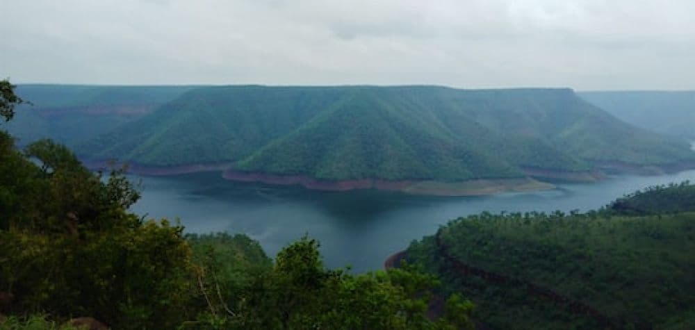Nallamala Forest