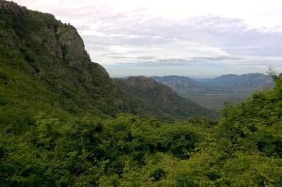 Sri Venkateswara National Park