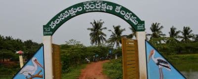 Kolleru Bird Sanctuary