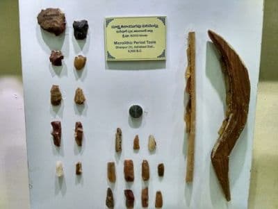Rallabandi Subbarao Government Museum
