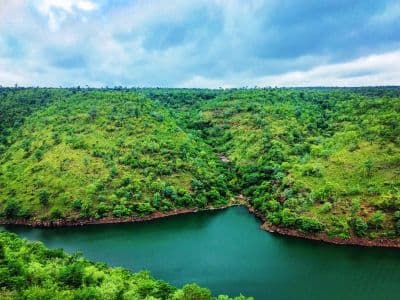 Nallamala Forest