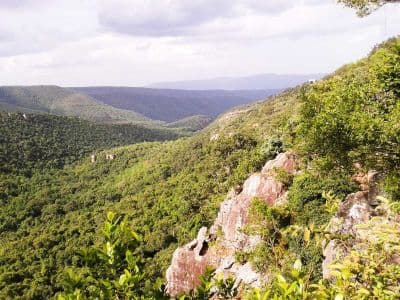 Sri Venkateswara National Park